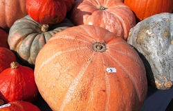 Herbstmarkt.JPG